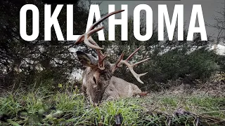 Oklahoma Whitetail Hunt During the Rut
