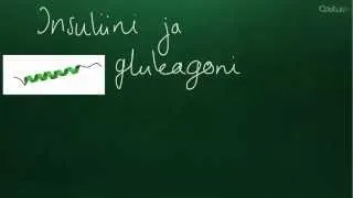 Insuliini ja glukagoni