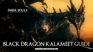 Black Dragon Kalameet Boss Guide - Dark Souls Remastered