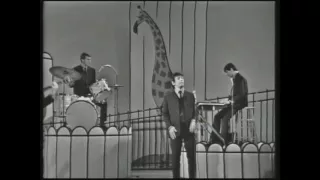 The Animals - Bring It On Home [LIVE]