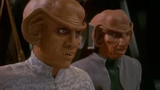 Quark Has Many Friends