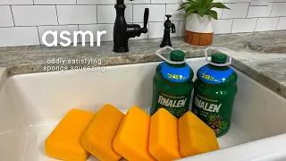 ASMR HUGE GALLONS OF PINALEN SPONGE SQUEEZING