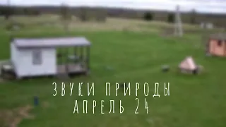 Звуки природы апрель 24г