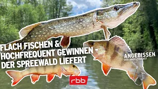 Flach fischen & hochfrequent gewinnen - der Spreewald liefert | Angebissen #47