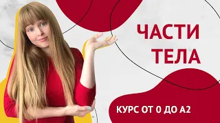 Части Тела на Испанском. Урок 18 [Курс Испанского Языка]