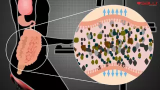 Функционирование кишечника при использовании стула SALLI