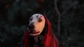 K9 Advantix® II 2019 Campfire Commercial 30