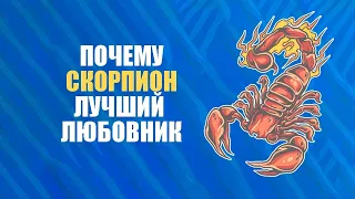 10 причин, почему Скорпионы — лучшие любовники.