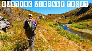 3 DAYS HUNTING VIBRANT TROUT at the PEAK of SUMMER - Small Stream Brown Trout Fly Fishing