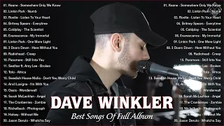 Dave Winkler Acoustic Cover 2022 | Best Cover Songs Of All Time | Somewhere Only We Know x Numb