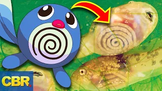 20 Pokemon And The Animals They're Based Off You Never Knew About