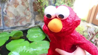 Elmo Live DESTRUCTION