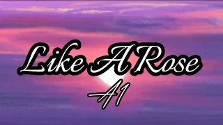 Like A Rose || A1 || Lyric Video