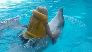плаваю с дельфинами в Дельфинарии с.Кабардинка июнь 2021