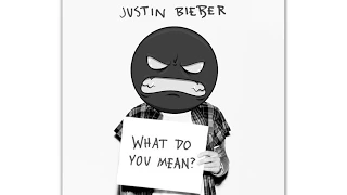 ► JUSTIN BIEBER - WHAT DO YOU MEAN? (VUD REMIX)