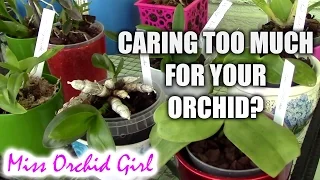 Can over caring for orchids kill them?