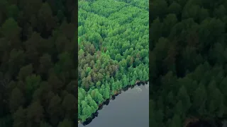 Озеро Светлояр. Нижегородская область