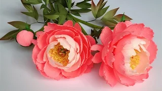 ABC TV | How To Make Coral Charm Peony Paper Flower From Crepe Paper - Craft Tutorial