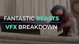 Fantastic Beast Has A Lot Of VFX. How Did They Do?