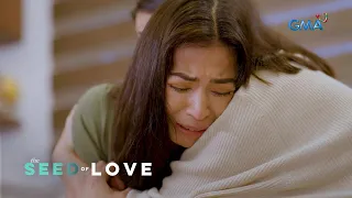 The Seed of Love: The devoted wife's lowest point in her married life (Episode 23)