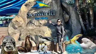 Part 1 | Full Show Sea Lions at SeaWorld San Diego | Memories 2018