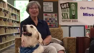 Meet the therapy dogs at O’Fallon Public Library: Maggie Mae, Zeke and Murphy