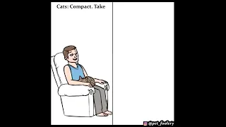 Cats Are So Superior Than Dogs | Funny Comic by Pet_foolery #comicdub