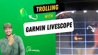 Garmin's Livescope system for Trolling (Catch more fish!) #livescope #panoptix
