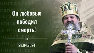 "Он любовью победил смерть". Проповедь о. Андрея Лемешонка 28 апреля 2024 г.