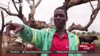 Farmers worst hit by El Nino induced dry conditions