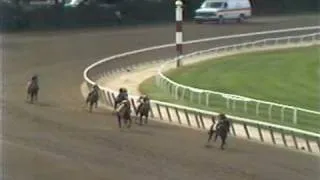 Risen Star - 1988 Belmont Stakes (Dave Johnson's ABC-TV Call)