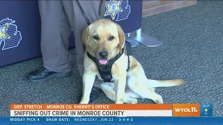 Monroe County Sheriff's Office sniffs out new hire