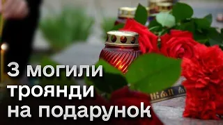 😠 Вкрала троянди з могили воїна, щоб подарувати родичці на іменини! На Рівненщині скандал