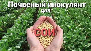 Почвенный инокулянт для Сои.