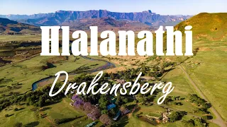 Hlalanathi | Drakensberg | South Africa | 4K