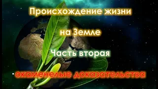 Происхождение жизни на Земле. фильм второй, часть вторая.