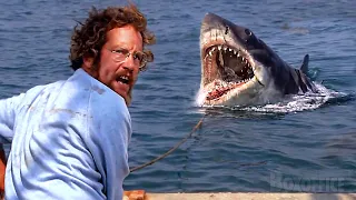"I think he comes back for feeding" | Jaws | CLIP