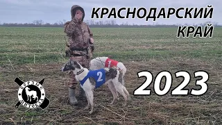 Митокла - КК2023