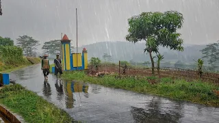 Sleep Deeply in 20 Minutes | Rain Sounds for Sleeping Relaxing - Central Java, Indonesia