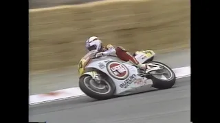 1990 USA ラグナ・セカ  GP500  レイニー　シュワンツ