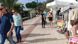 Los Cristianos , Dicembre a Playa Las Vistas. Tenerife. Spagna