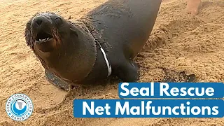 Seal Rescue Net Malfunctions During Rescue