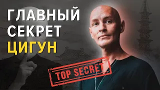 ГЛАВНЫЙ СЕКРЕТ ЦИГУН. Как запустить поток жизненной энергии — Ян-Спартак Поединков