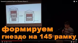 Технологія утримання бджіл на 145 рамку (Борец О.)