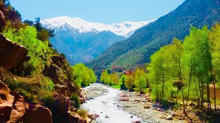 Vallée d ourika la petite Suisse du Maroc, Grand Atlas folklore Ahwach et Nature