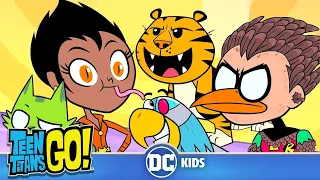 Teen Titans Go! En Latino | Super Animales | DC Kids