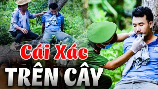 CÁI XÁC TRÊN CÂY | Truy Tìm Bằng Chứng 2024 | Ký Sự Pháp Đình THVL | Chuyện Cảnh Giác Mới 2024 THVL