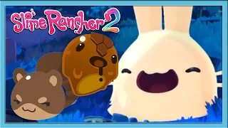 УРА, НОВЫЙ МЕДОВЫЙ ОСТРОВ / Эп. 8 / Slime Rancher 2