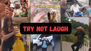 TRY NOT TO LAUGH 😆 Best Funny Videos Compilation 😂😁😆 Part 1 #aliyaanazlaandiscoveries #