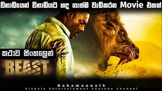 විනාඩියෙන් විනාඩියට හද ගැස්ම වැඩිකරන Movie එකක්  | Beast 2022 full movie explained in sinhala | dub